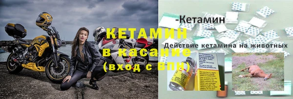 спайс Богданович