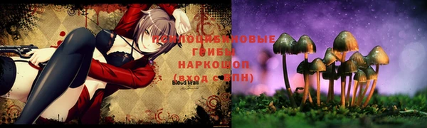 трава Беломорск