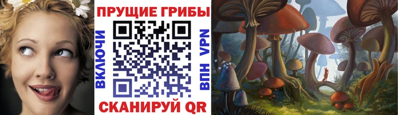 Галлюциногенные грибы прущие грибы  купить   Верхняя Тура 